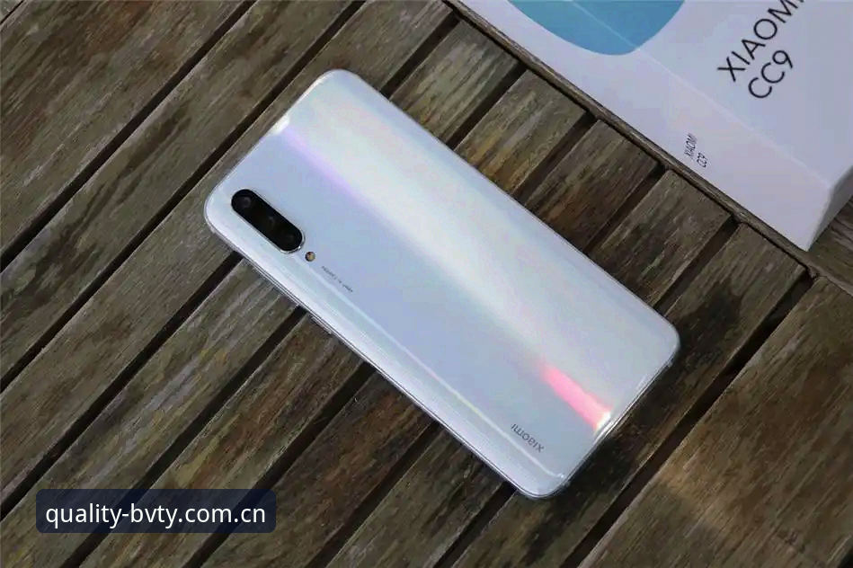 宝威A9X2下载教程 宝威A9X2下载教程全面评测:从正版安装到隐私保护的真实体验分享